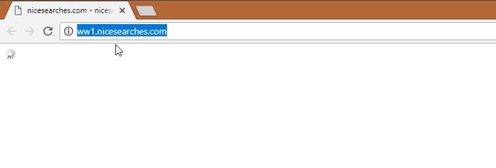 How to Remove ww1.nicesearches.com