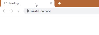 How to Remove Neatdude.cool Redirect