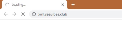 How to Remove Xml.seavibes.club Pop-up