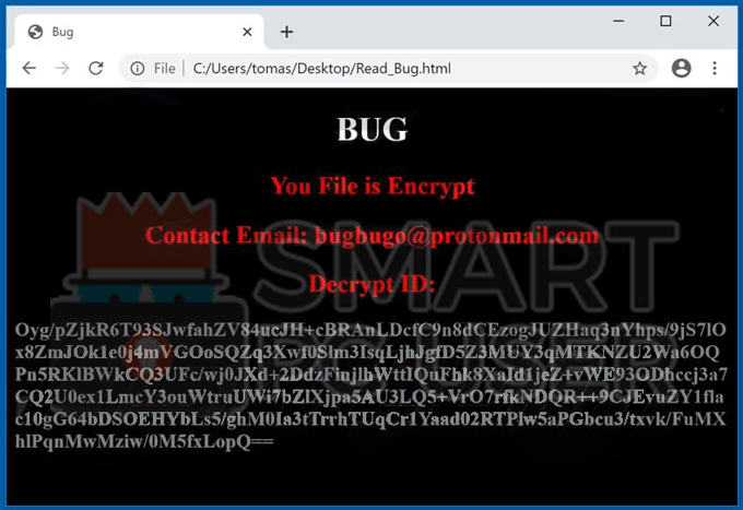 bug ransomware ransom note